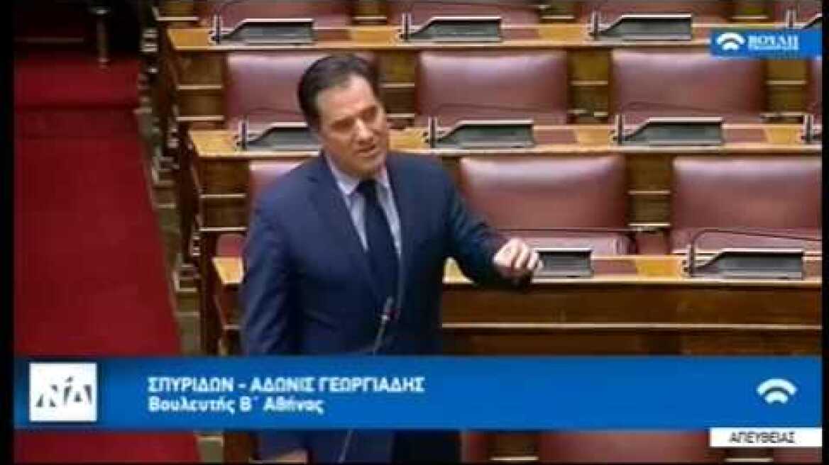 Ο Άδωνις Γεωργιάδης επί προσωπικού προς Έλενα Κουντουρά 24/01/2019