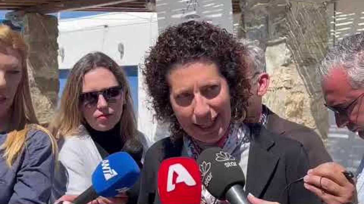 Μύκονος: Η πρόεδρος των Αρχαιολόγων αποκάλυψε νέα περιστατικά βίας κι απειλών