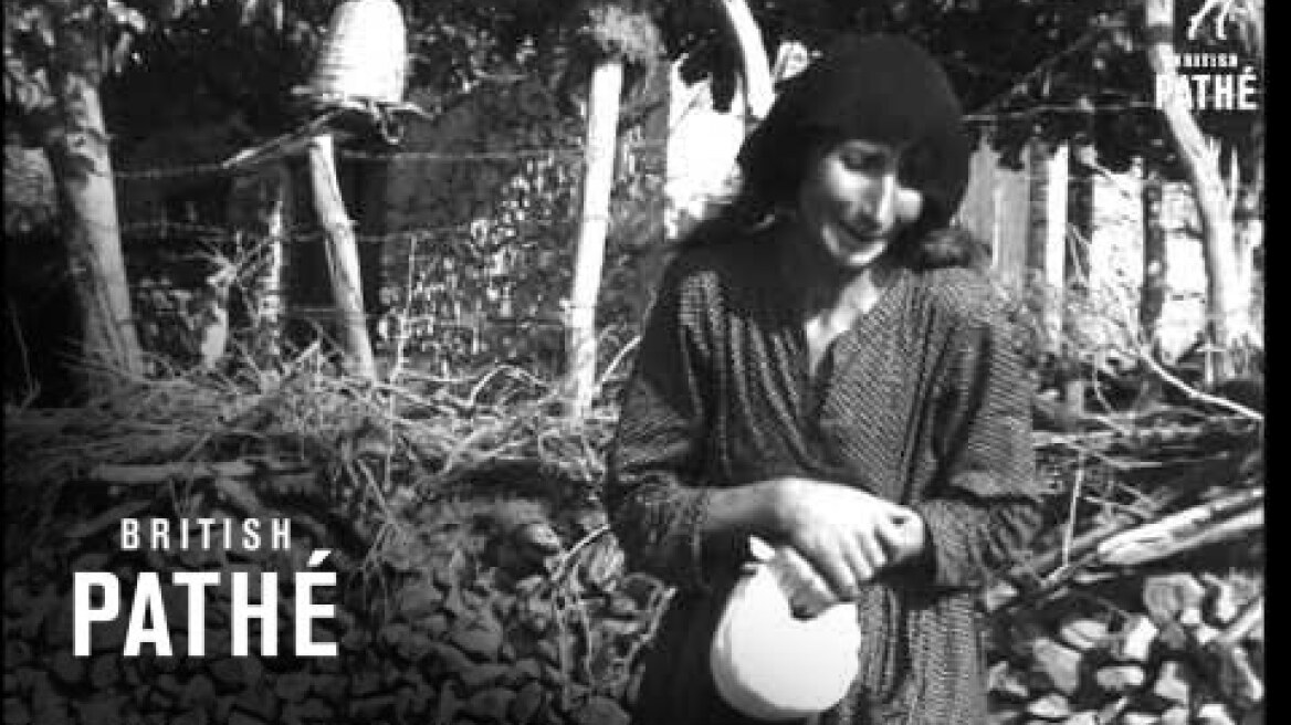 Tragic Aftermath Of Turkish Bombing On Greek Cypriot Village  (1964)