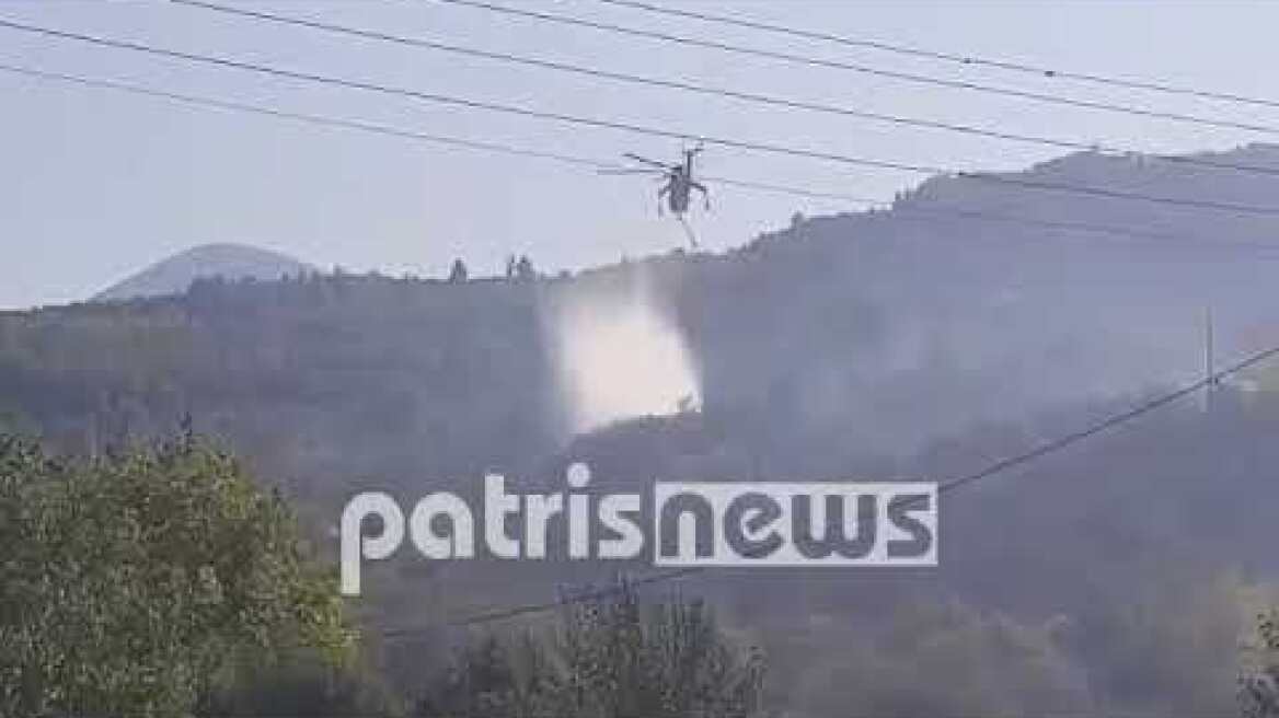 Ηλεία: Μεγάλη πυρκαγιά στην Τρυπητή