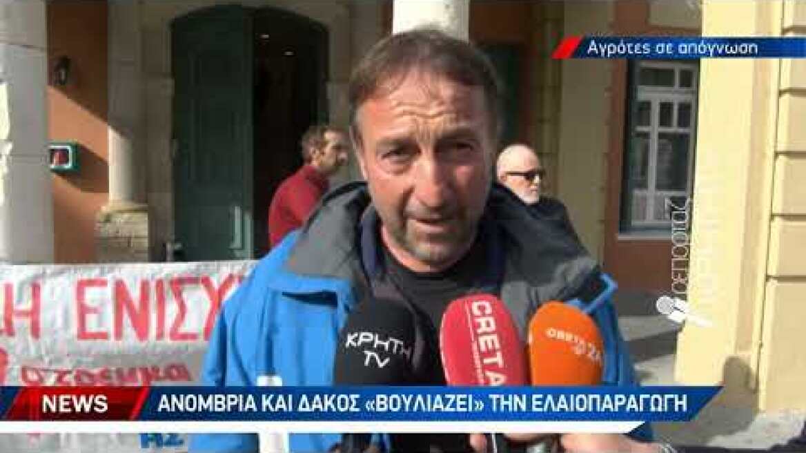 Ούτε λάδι για το φαγητό δε θα έχουν φέτος οι παραγωγοί