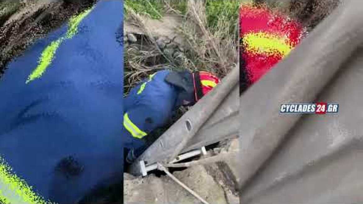 Σκύλος έπεσε σε πηγάδι στην Μύκονο - Στήθηκε επιχείρηση για τη διάσωσή του