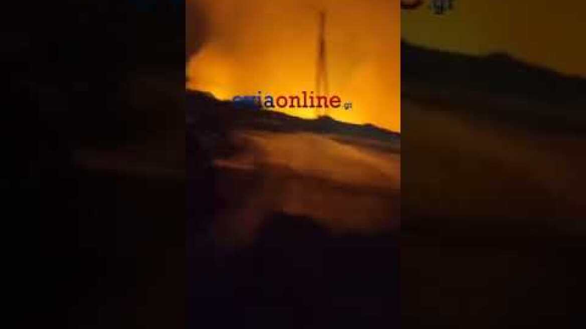 Κάρυστος - Πρινιά Φωτιά 1