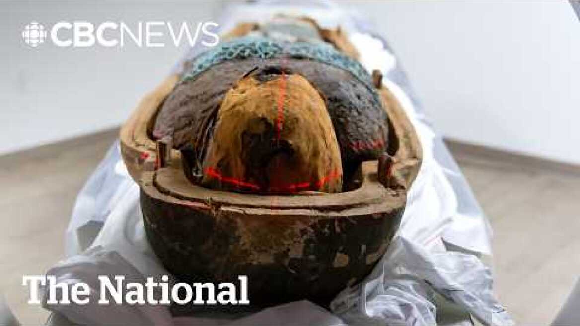 #TheMoment Egyptian mummies got a CT scan