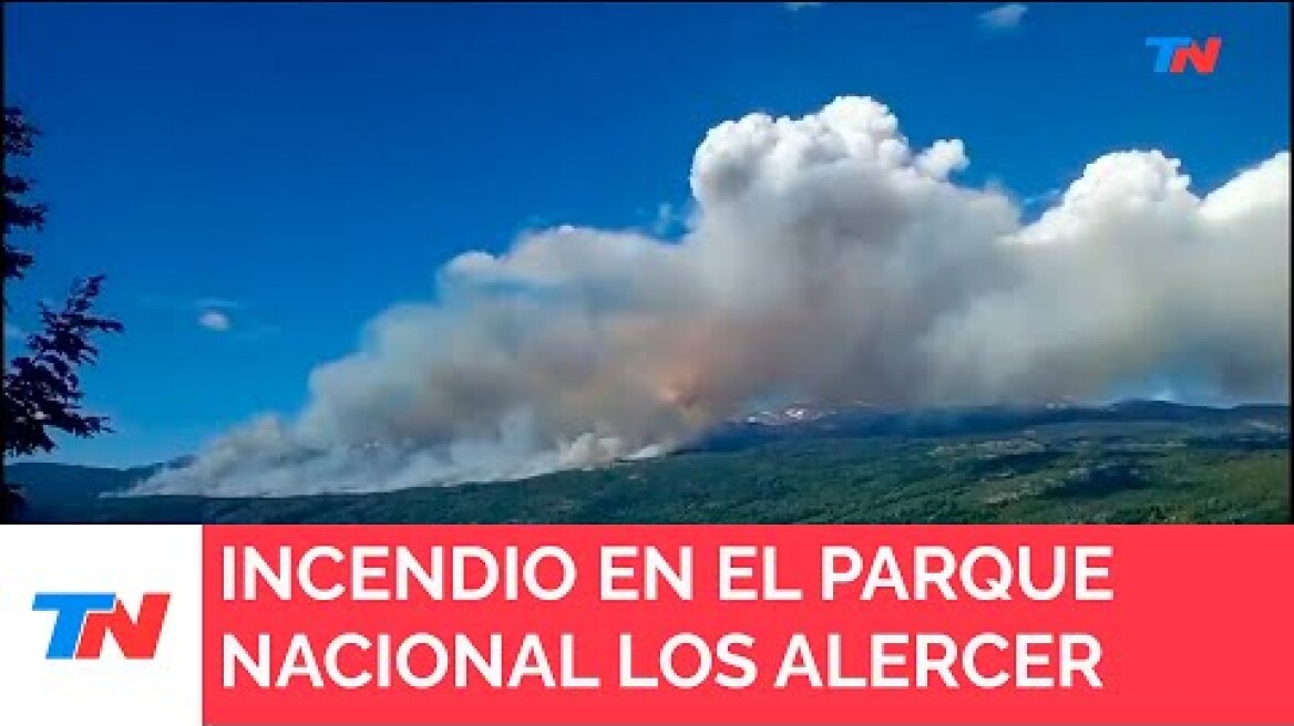 Se incendia el Parque Nacional Los Alerces en medio de las altas temperaturas en la Patagonia