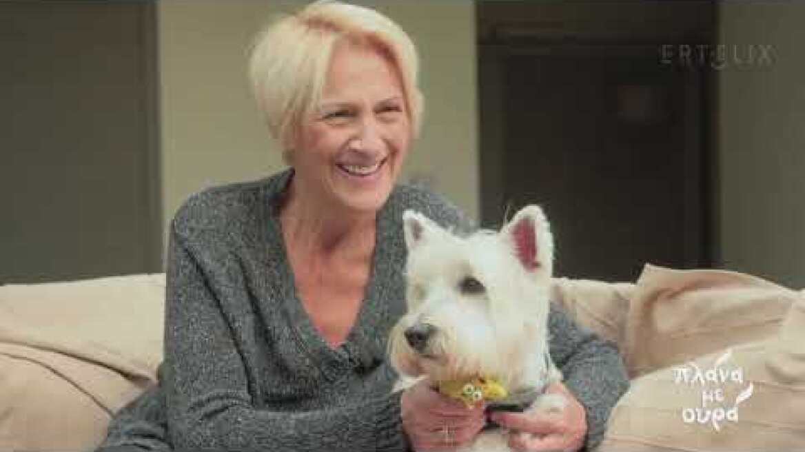 Κ. Κωνσταντίνου: Ποτέ δεν πίστευα ότι θα νιώσω έτσι για κάποιο ζώο | 9/4/21 | ΕΡΤ