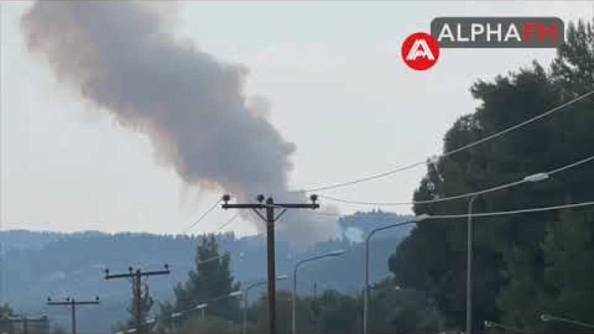 Χαλκιδική. Επικίνδυνη φωτιά στη Μόλα Καλύβα σε δύσβατη περιοχή ΒΙΝΤΕΟ