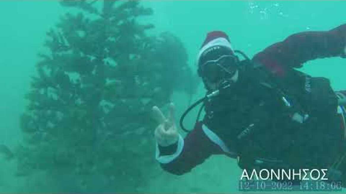 Δήμος Αλοννήσου: Συμβολικός στολισμός Χριστουγεννιάτικου δέντρου στον βυθό!