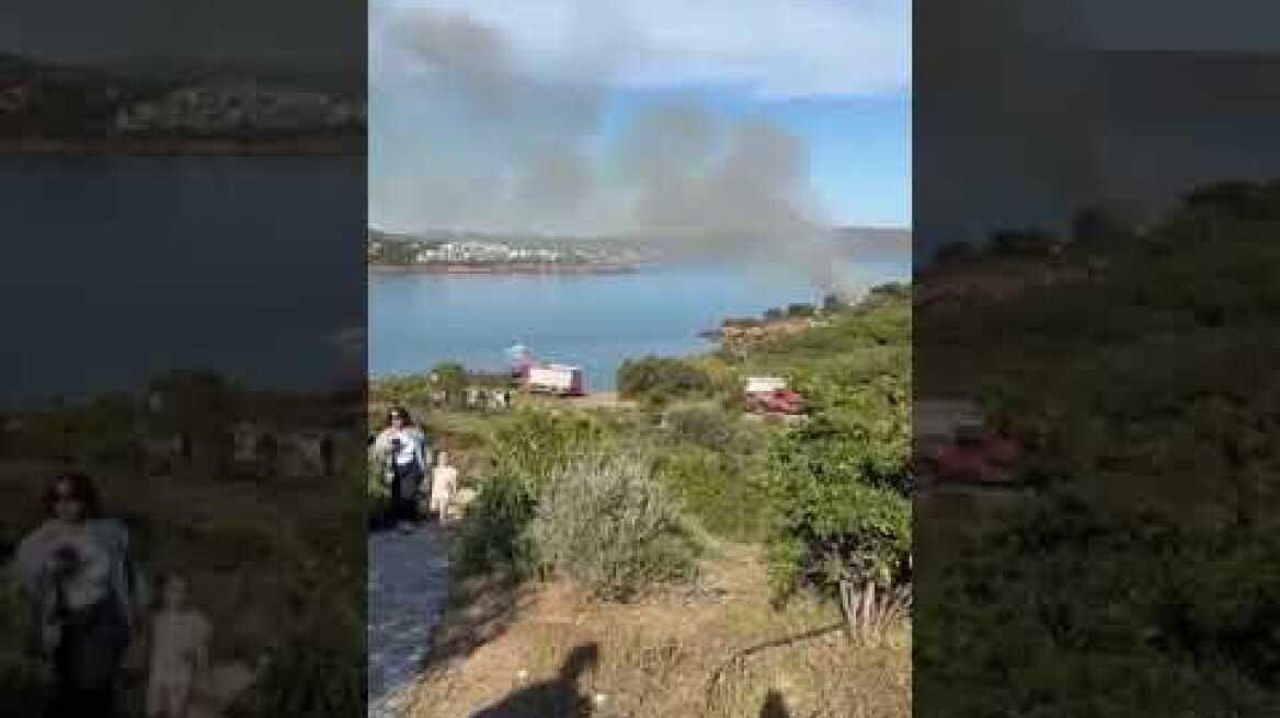 Ποσειδωνία Σουνιο - Ξέσπασε φωτιά από δυναμιτάκια που έριξαν άγνωστοι (2)