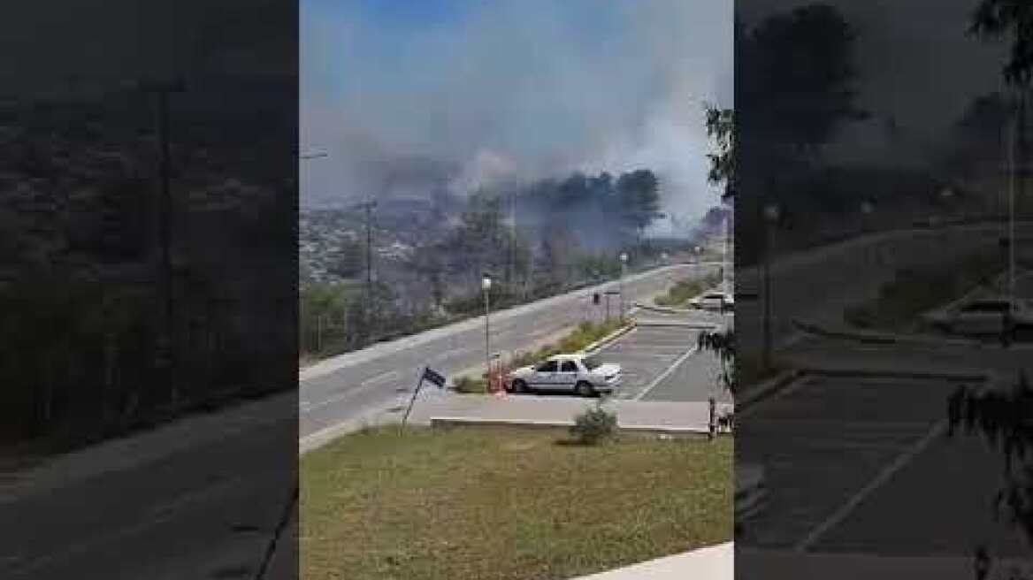 Eviatop Χαλκίδα φωτιά