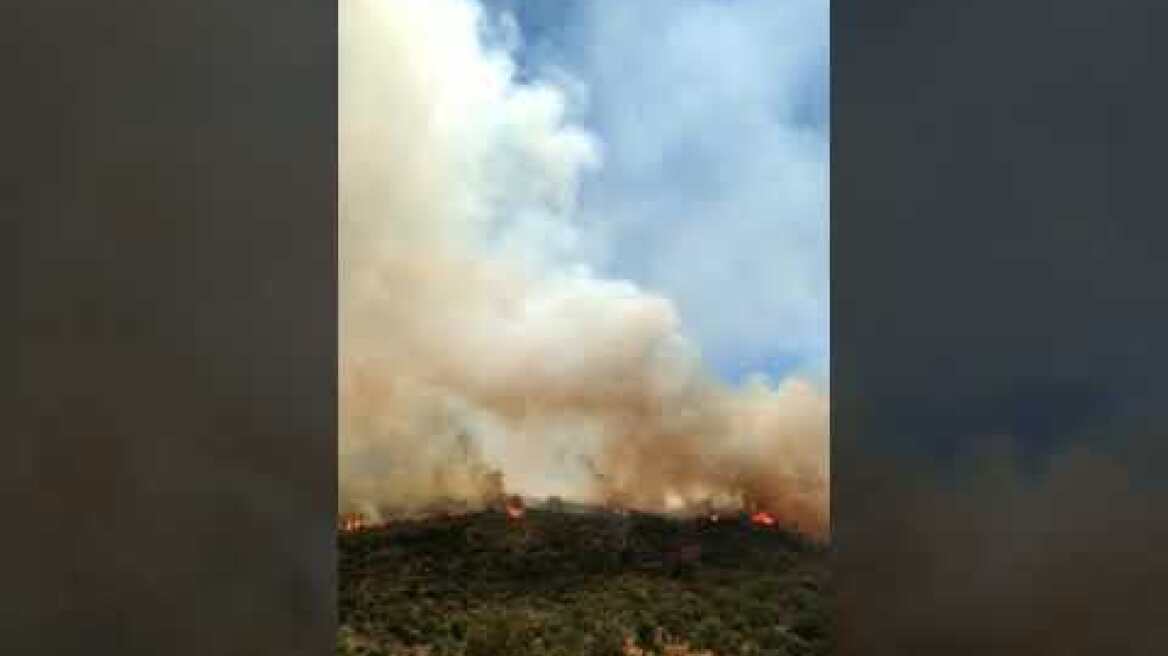 Φωτιά στην Μάνη