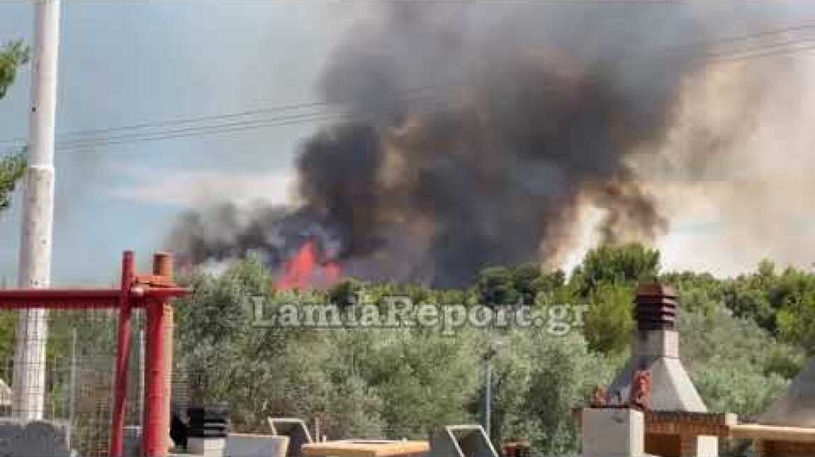 LamiaReport.gr: Φωτιά Θεολόγος 2