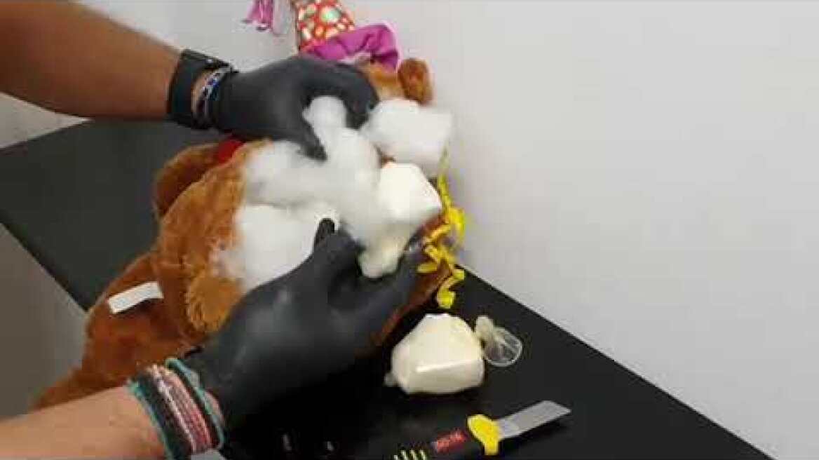 Βίντεο Αρκουδάκι Μύκονος