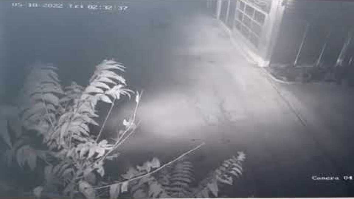 Βίντεο ντοκουμέντο με τους διαρρήκτες που μπούκαραν με ΙΧ