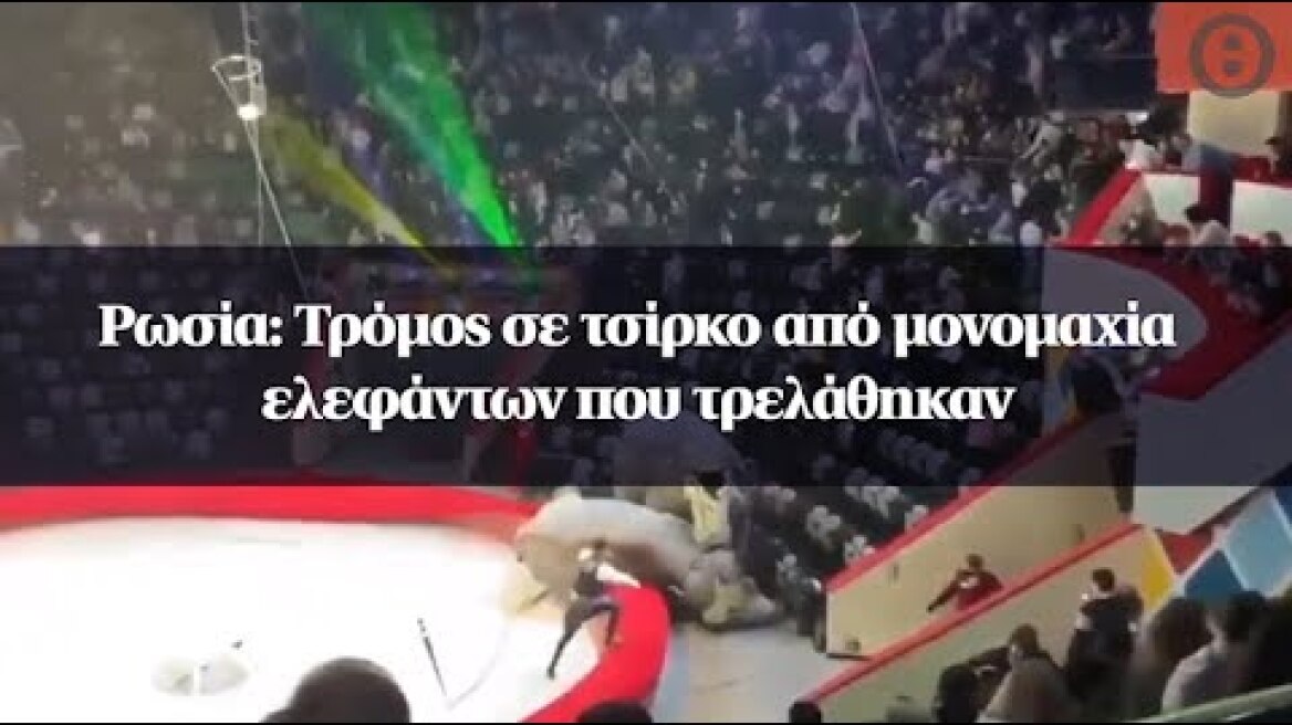 Ρωσία: Τρόμος σε τσίρκο από μονομαχία ελεφάντων που τρελάθηκαν
