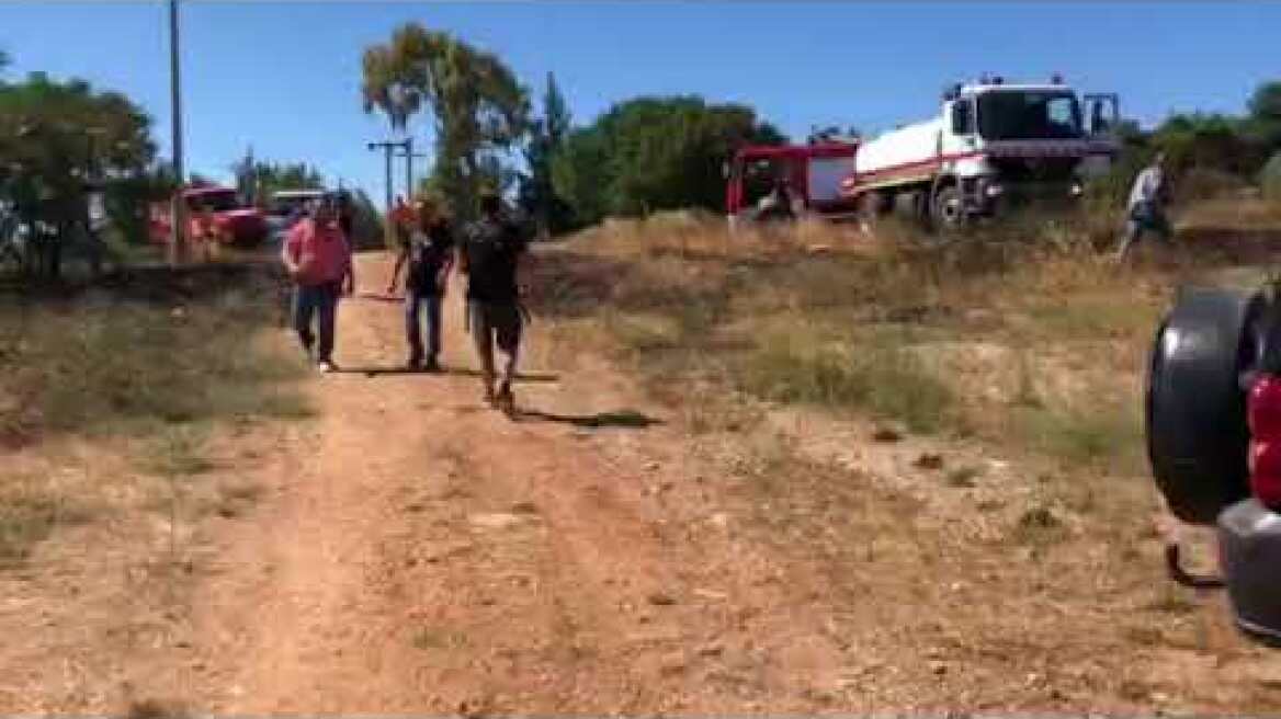 Έσβησε η φωτιά στο Άλσος Συγγρού