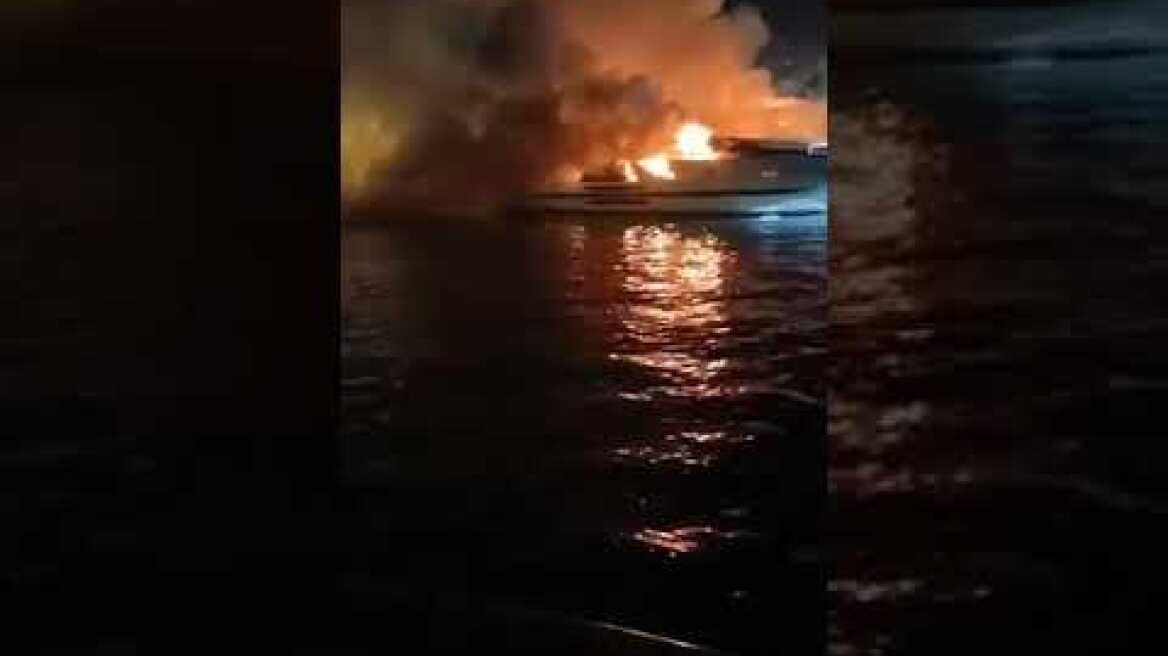 Μαρίνα Ζέας (7)