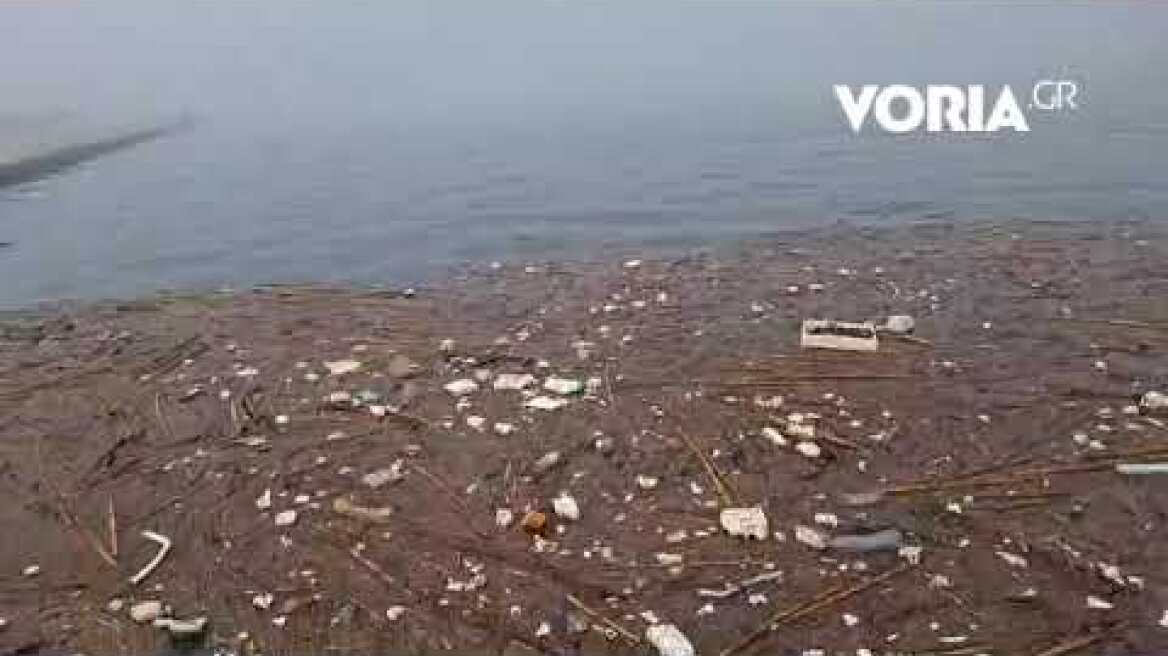 Θεσσαλονίκη: Αποκρουστικές εικόνες στον Θερμαϊκό, στο Μέγαρο Μουσικής