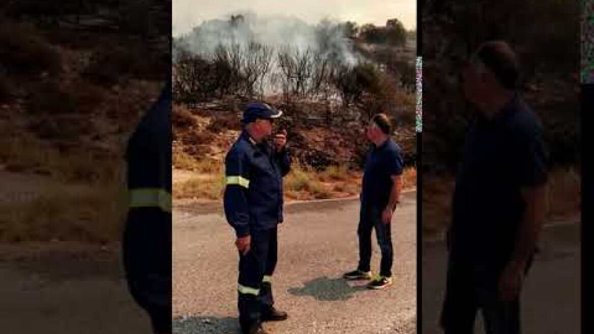 Φωτιά στη Λακωνία