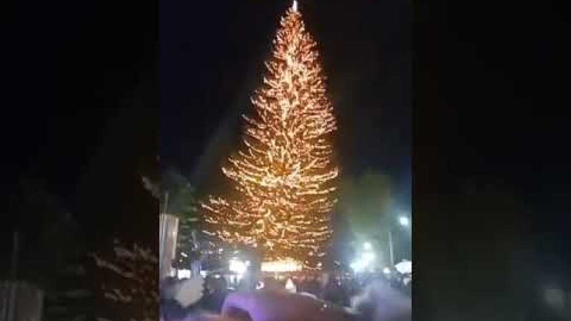 Άναψε το Χριστουγεννιάτικο Δέντρο στη Χαλκίδα