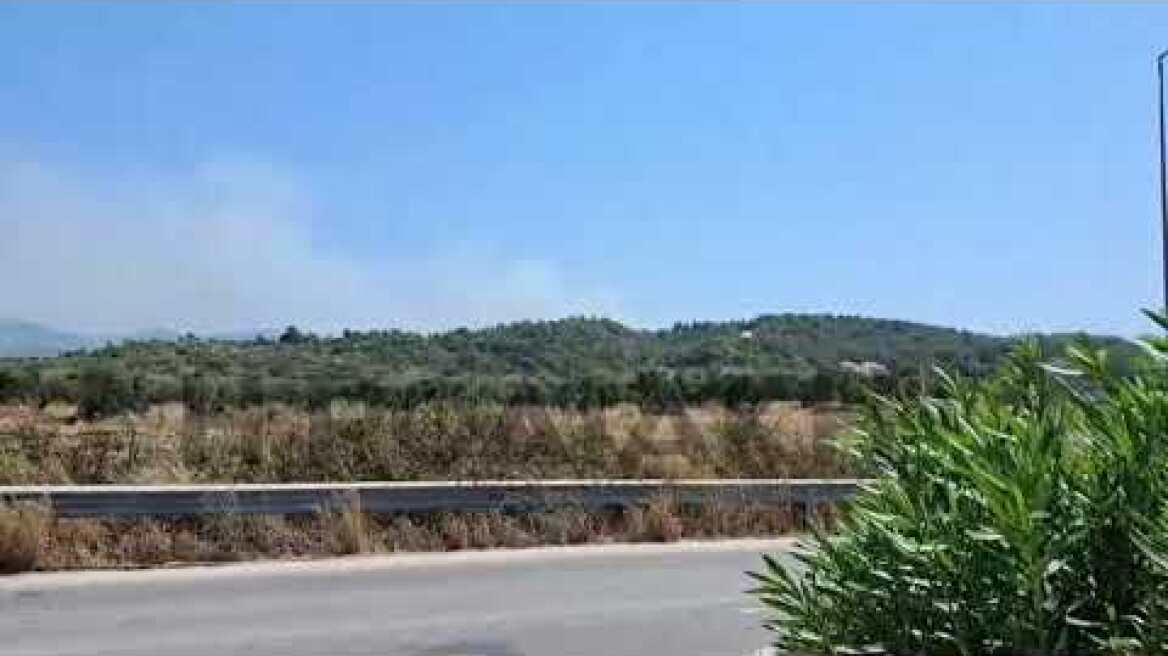 Φωτιά ανάμεσα στη Θολό και τη Σορωνή