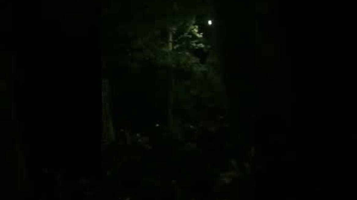 Πάρτι στο ΑΠΘ THESSTODAY.GR