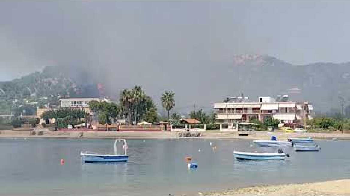 Φωτιά στην Εύβοια