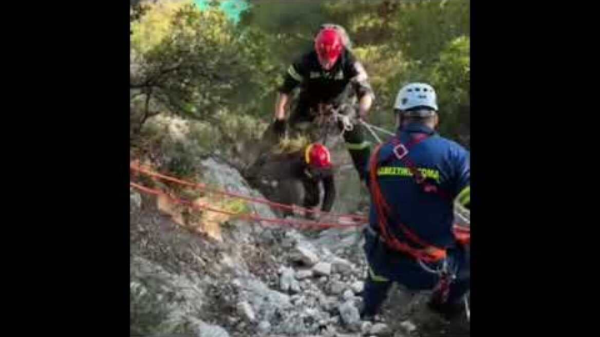 Η στιγμή που πυροσβέστες σώζουν τουρίστρια στους Έρμονες