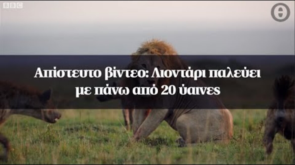 Απίστευτο βίντεο: Λιοντάρι παλεύει με πάνω από 20 ύαινες