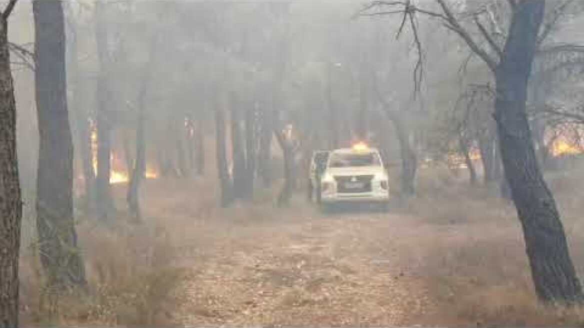Μεγάλη αναζωπύρωση στην Πάρνηθα 3