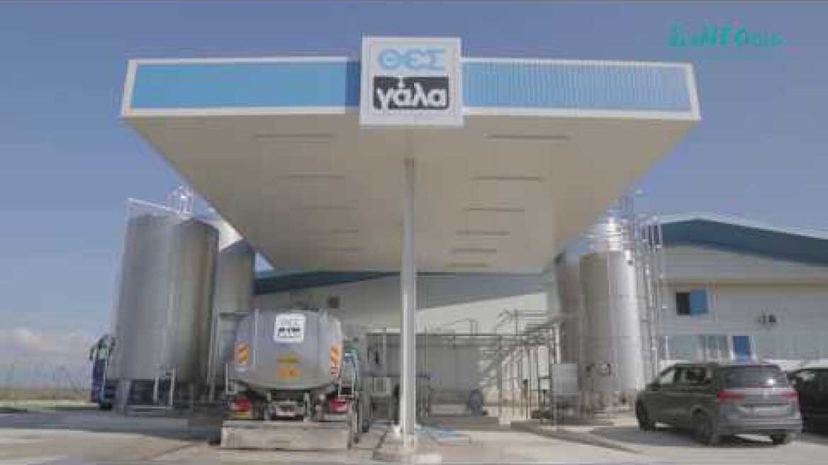 Νέοι Επιχειρηματικοί Συνεταιρισμοί Στην Ελλάδα