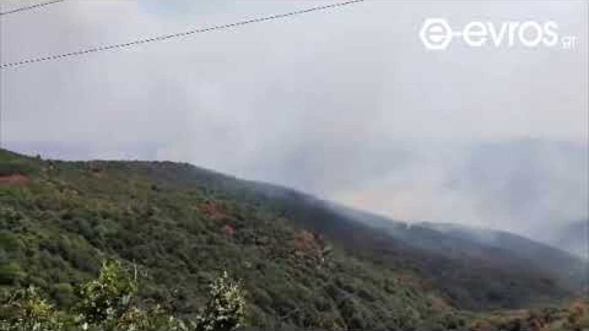 (13:50) Αυτή είναι και η εικόνα από το μέτωπο της Λεπτοκαρυάς, όπως φαίνεται από την Καλλιθέα