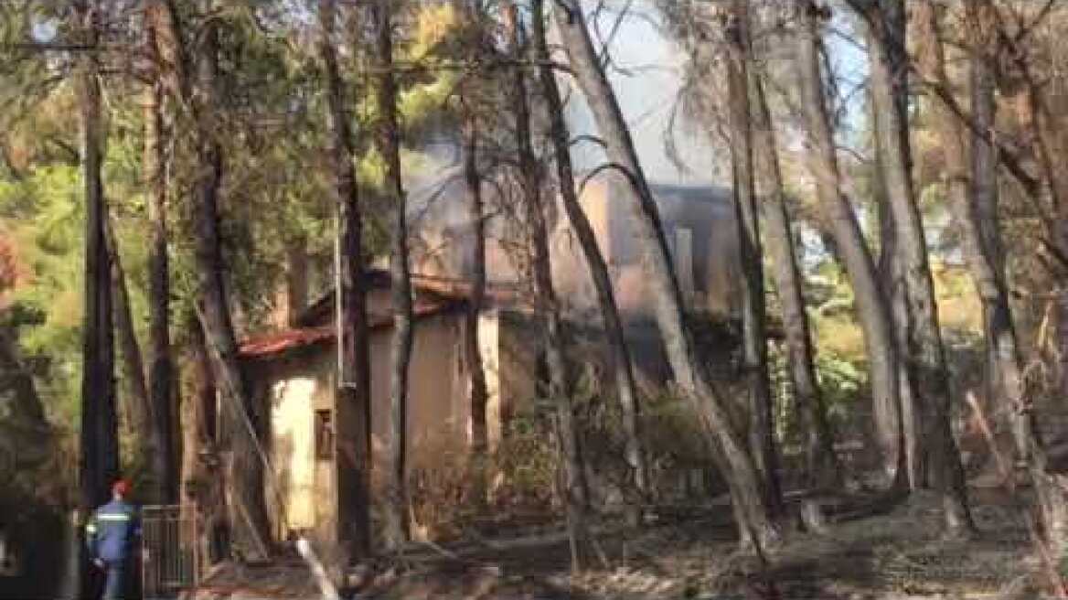 Καμένα Σταμάτα