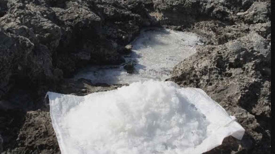 O «χρυσός»… της θάλασσας των Κυθήρων