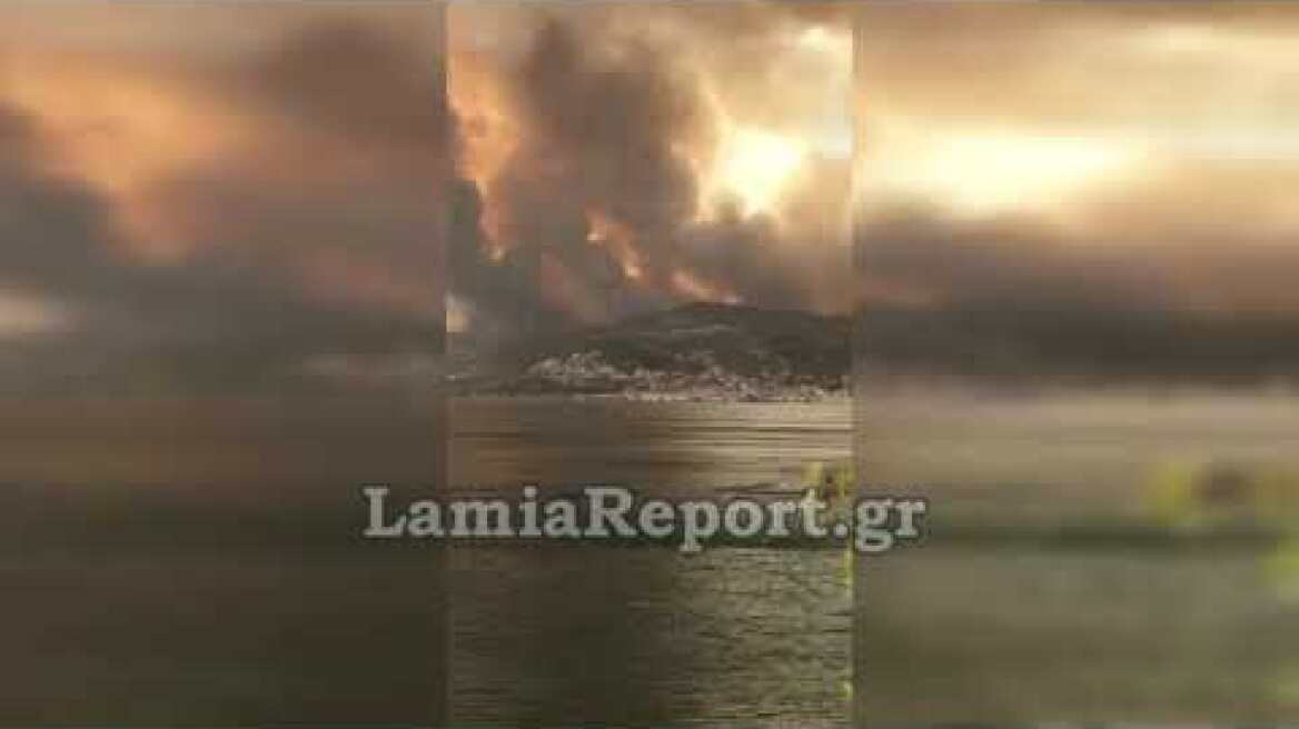LamiaReport.gr: Μεγάλη φωτιά στη Λίμνη Ευβοίας