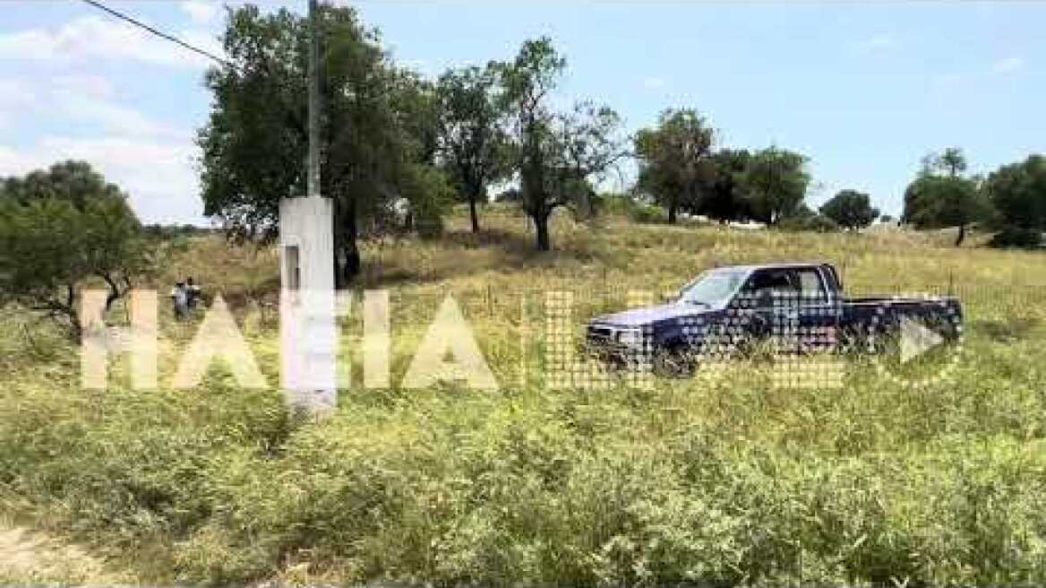 ilialive.gr - Έγκλημα για τα γίδια στην Αγ. Τριάδα Αρχ. Ολυμπίας