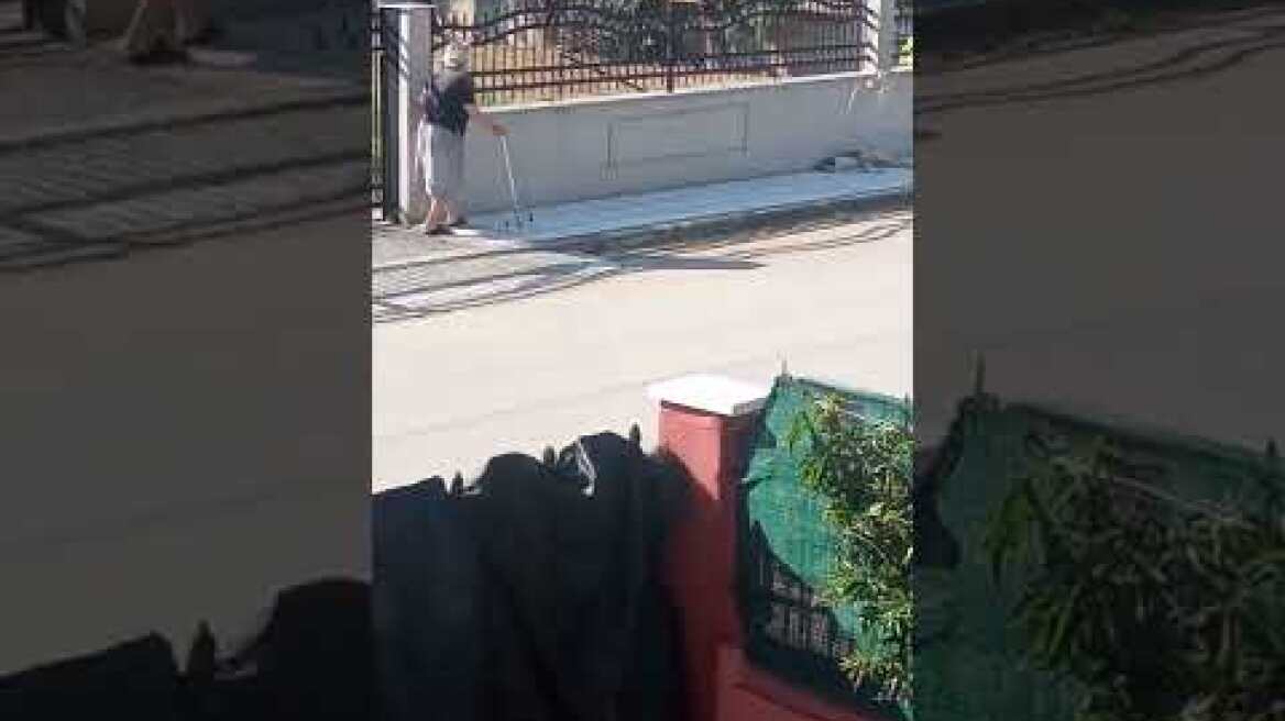 Θεσσαλονίκη: Σάλος με βίντεο που δείχνει ηλικιωμένη να πετάει μπαστούνι σε σκυλί
