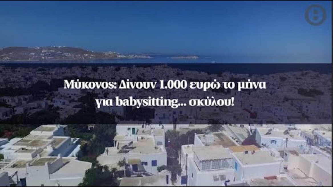 Μύκονος: Δίνουν 1.000 ευρώ το μήνα για babysitting... σκύλου!