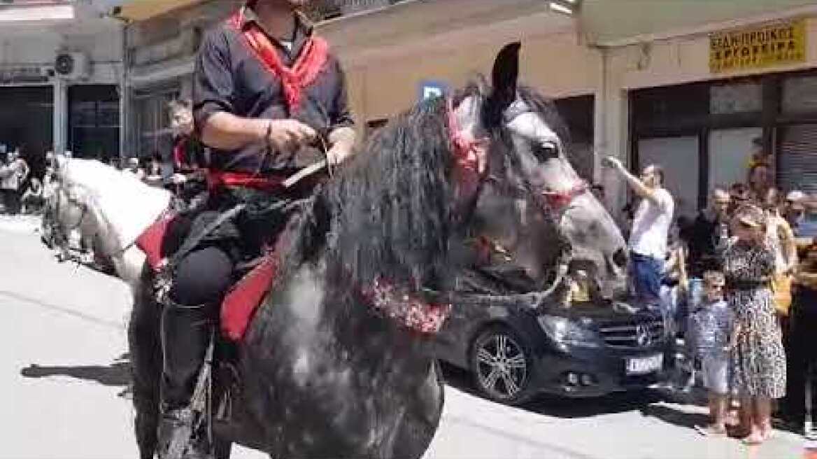 Η μεγάλη παρέλαση των καβαλάρηδων της Παναγίας στη Σιάτιστα