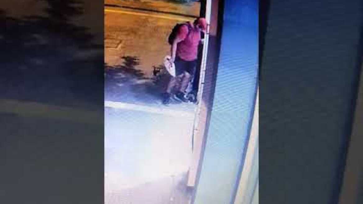 Δικογραφία και πρόστιμο 30.000 ευρώ στον 39χρονο που σκότωσε το γατάκι στη Θεσσαλονίκη (2)