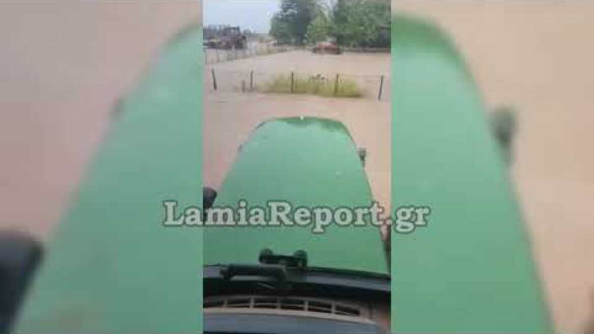 LamiaReport.gr: Daniel Σοφιάδα Δομοκού 6-9-23