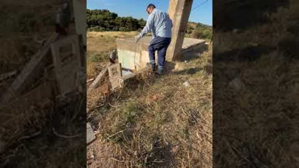 17062026 Ειδική αστυνομική επιχείρηση της Δ.Α.Β.Α./Γ.Α.Δ.Α. που πραγματοποιήθηκε στα Σπάτα