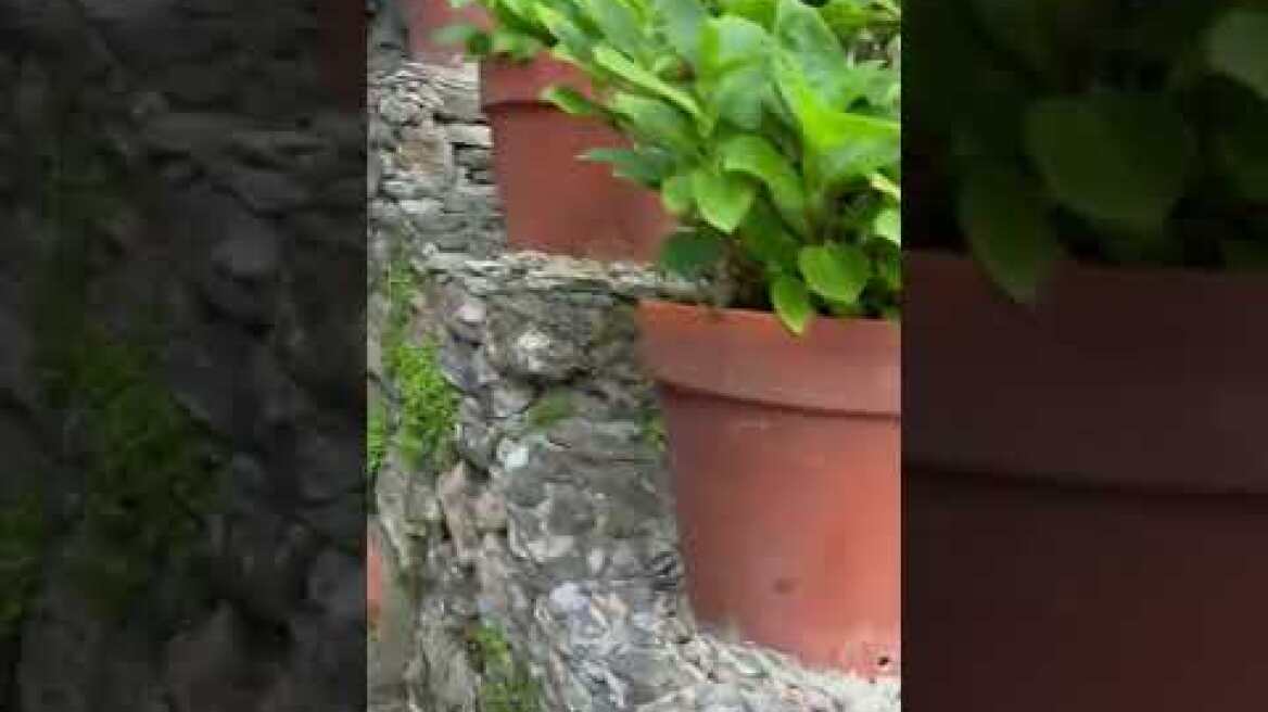 Με δυσκολία κινείται η Kylie Jenner φορώντας το στενό της φόρεμα