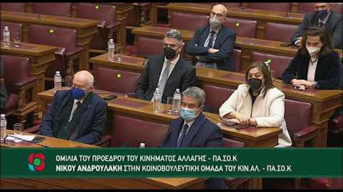 Ομιλία του Νίκου Ανδρουλάκη για την Πρόταση Δυσπιστίας προς την Κυβέρνηση - 30/1/22