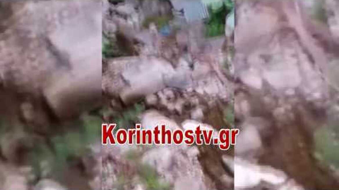 Πέταξαν σακούλα με τα νεογέννητα κουτάβια στο ρέμα στο Γυμνό Αργολίδας