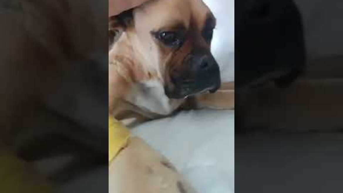 Η Νίκη από την Ζαχάρω 3