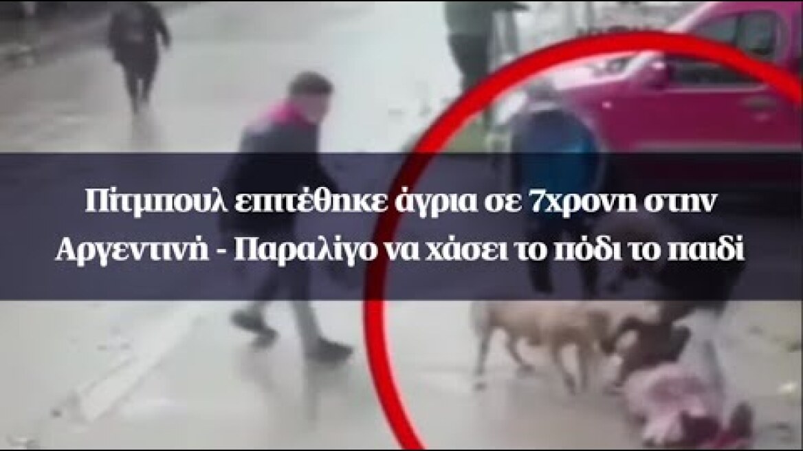 Πίτμπουλ επιτέθηκε άγρια σε 7χρονη στην Αργεντινή - Παραλίγο να χάσει το πόδι το παιδί