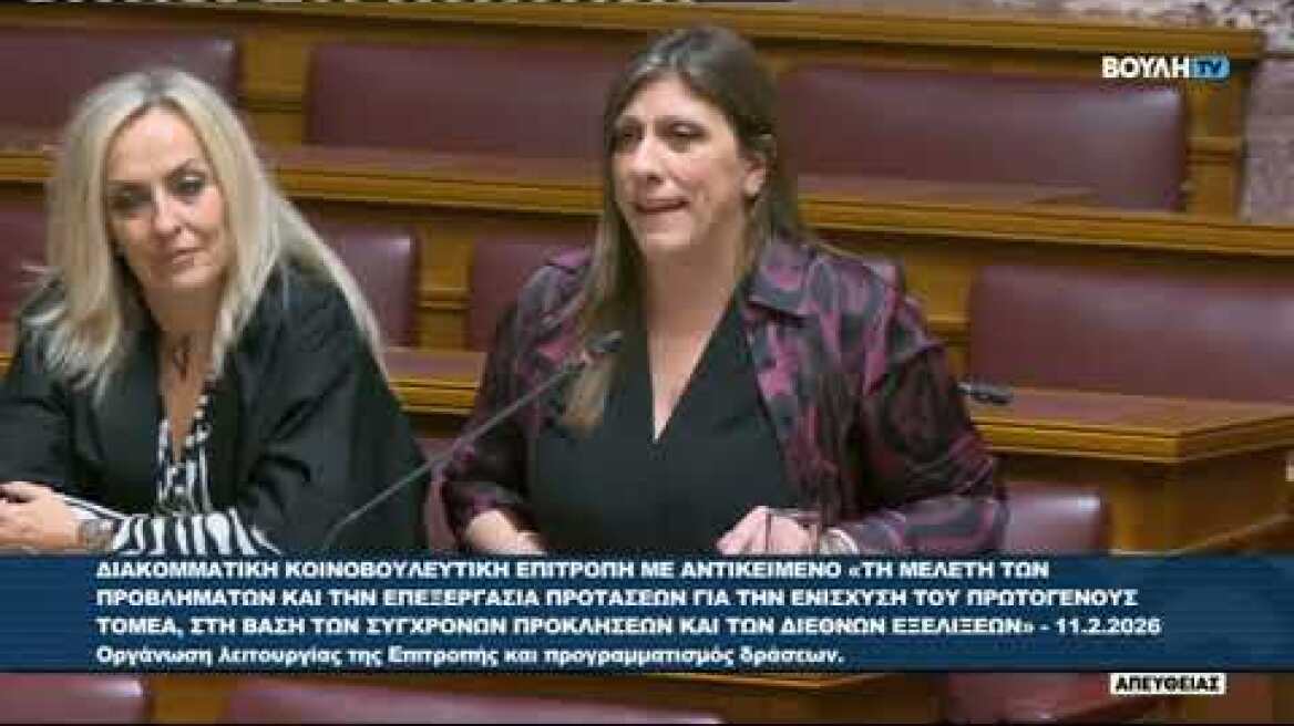 Σόου Κωνσταντοπούλου στη διακομματική για το αγροτικό