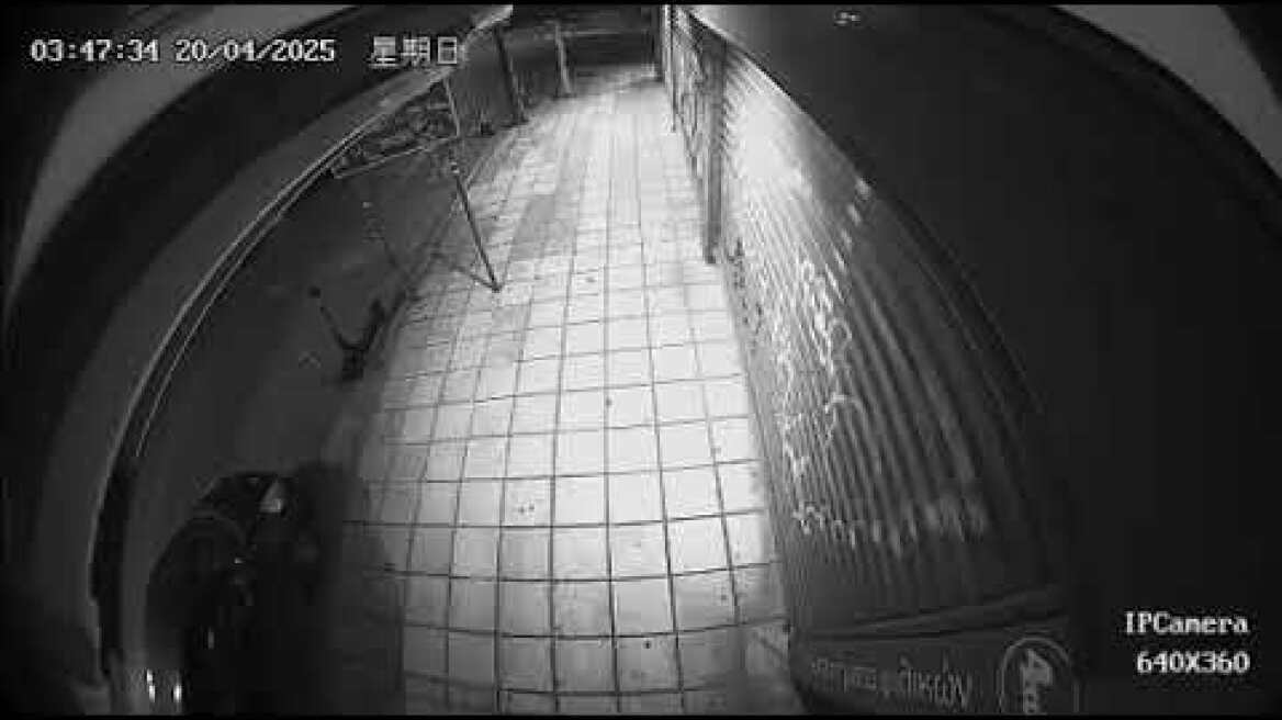 Τρελή πορεία αυτοκινήτου στη Θεσσαλονίκη που καρφώθηκε σε κατάστημα καφέ -ψιλικών (2)