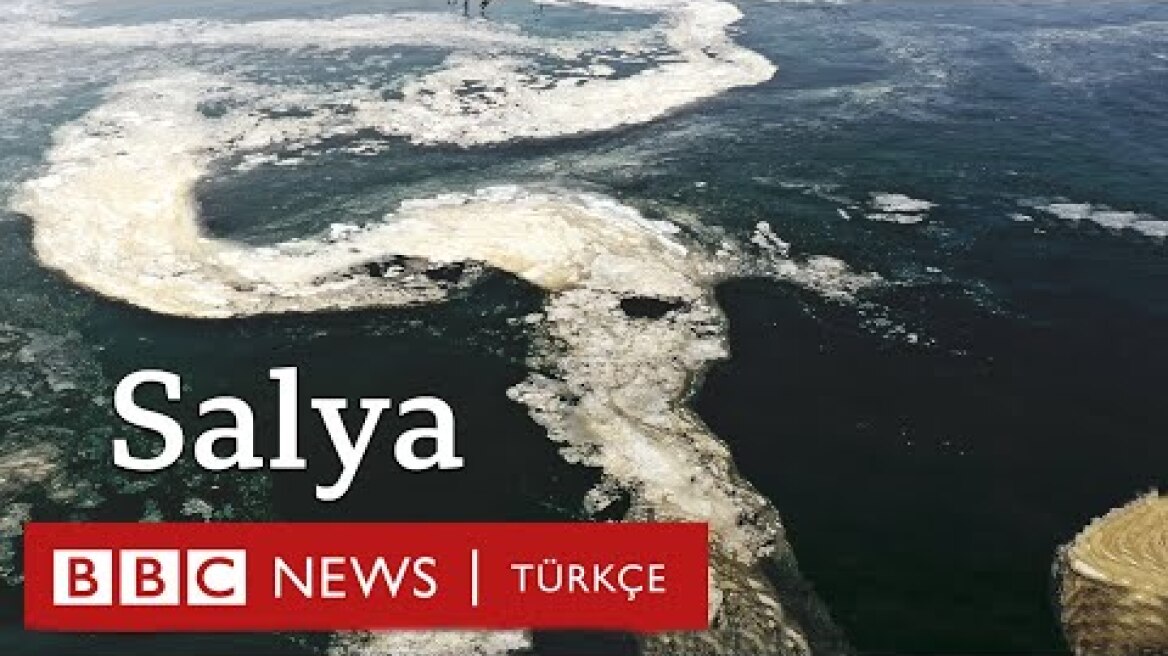 Marmara Denizi'nde salya: "Müsilajın suyun altındaki sonuçlarından korkuyoruz"